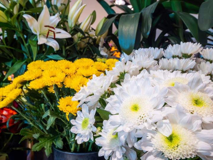 CREA FLEURS 23 07 26 15