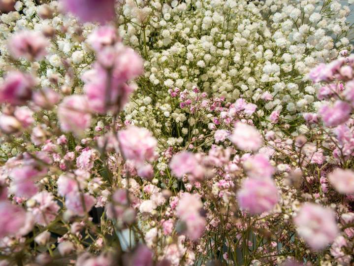CREA FLEURS 23 07 26 16