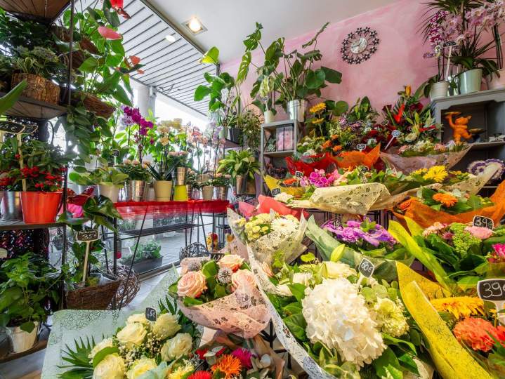 CREA FLEURS 23 07 26 20