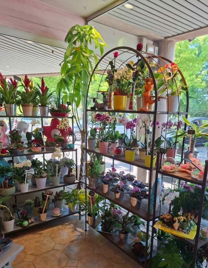 Vente de fleurs La Chapelle-sur-Erdre